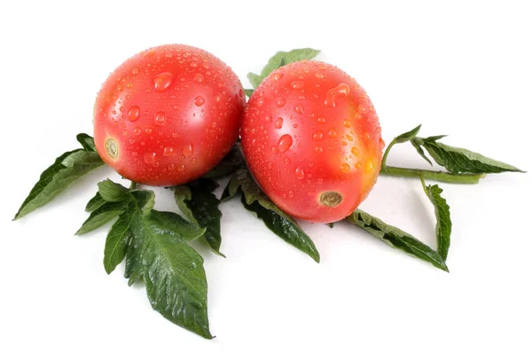 Maukkaat Kypsät Tomaatit Valkoisella Taustalla — kuvapankkivalokuva
