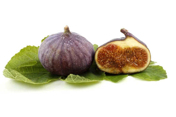 Fig Con Mitad Hoja — Foto de Stock