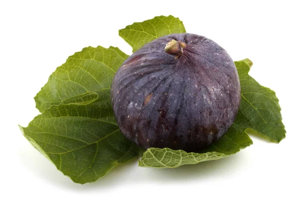 Fig Sobre Hoja Aislada Sobre Blanco — Foto de Stock