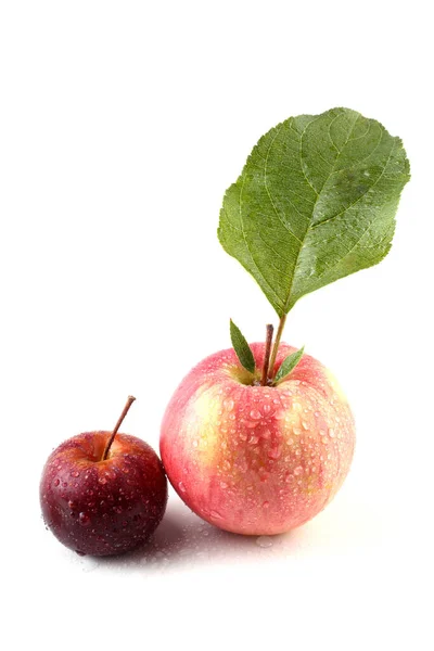 Pequeñas Manzanas Rojas Aisladas Sobre Fondo Blanco —  Fotos de Stock