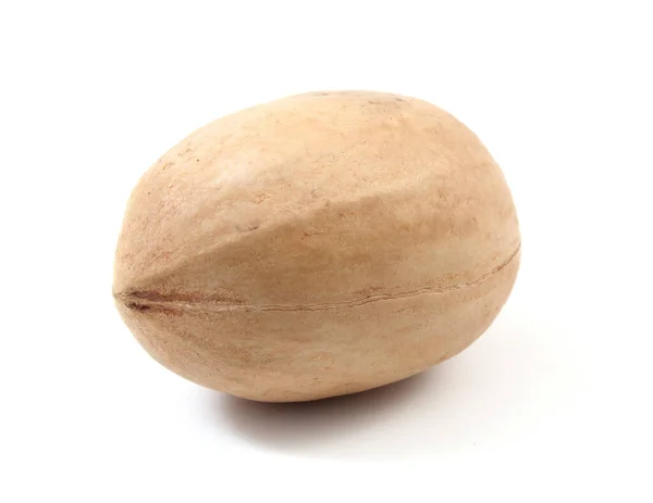 Pekan Nut Isolated White — Stock Photo, Image