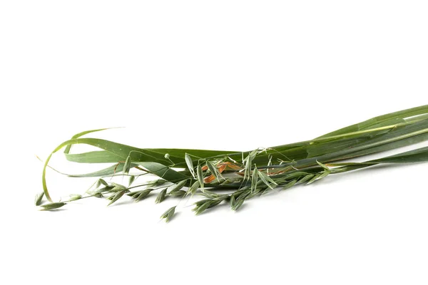 Orejas Avena Aisladas Sobre Fondo Blanco — Foto de Stock