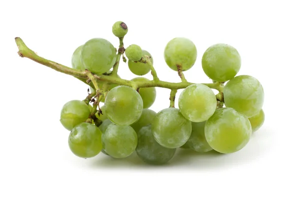 Zelené Vinné Hrozny Pro Bílé Víno — Stock fotografie