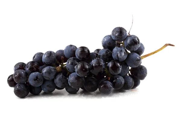 Schwarzweintraube Isoliert Auf Weißwein — Stockfoto