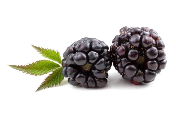 Reife Brombeeren Auf Weißem Hintergrund — Stockfoto