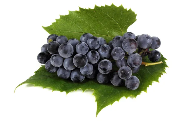 Black Wine Grape Isolated White — Stock Photo, Image