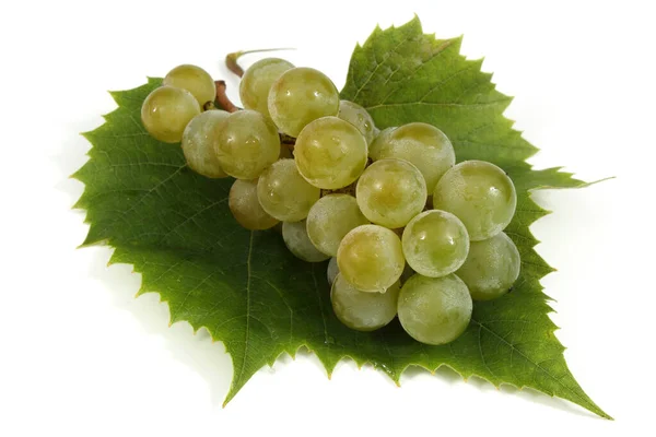 Green Wine Grape White Wine — Stock Photo, Image