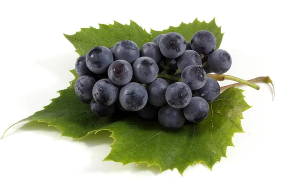 Black Wine Grape Isolated White — Stock Photo, Image