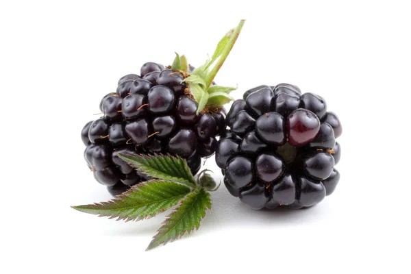 Ripe Blackberries White Background — Stock Photo, Image