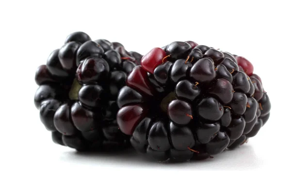 Ripe Blackberries White Background — Stock Photo, Image