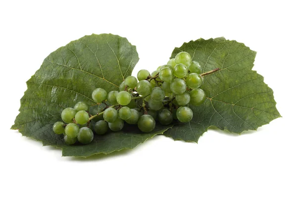 Winogrono Liściach — Zdjęcie stockowe