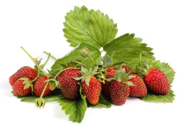 Beyaz arka planda izole edilmiş çilekler