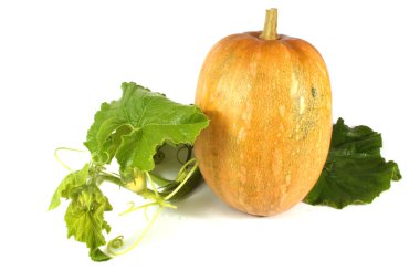 Sarı balkabağı ve yapraklar