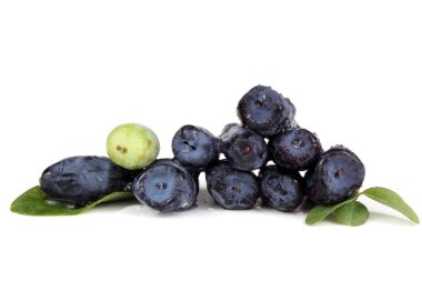 Böğürtlenler beyaz üzerine izole