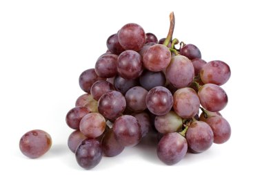 Üzüm beyazda izole edildi