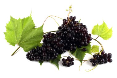 Yaprakların üzerinde siyah üzüm