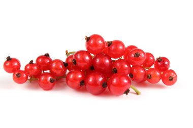 Beyaz arkaplanda kırmızı frenk üzümü var.