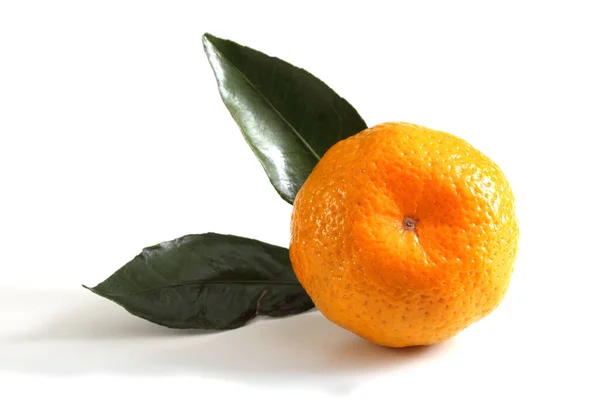 Mandarina Naranja Con Hojas — Foto de Stock