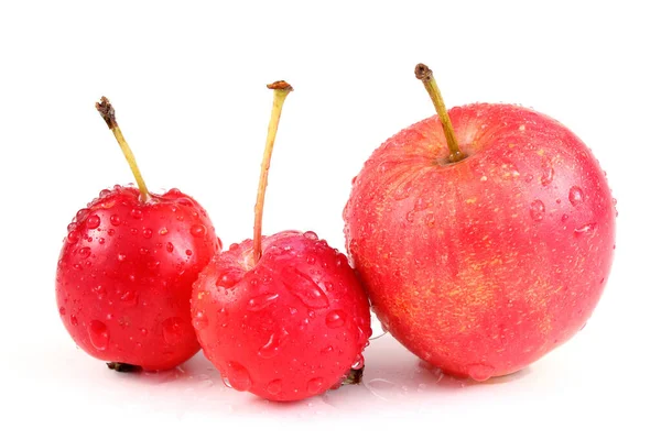 Cherry Kecil Merah Diisolasi Latar Belakang Putih — Stok Foto