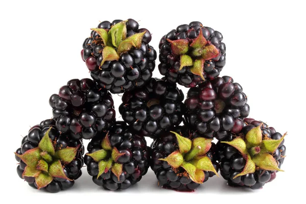 Fresh Blackberry Harvest Close — Stock Photo, Image