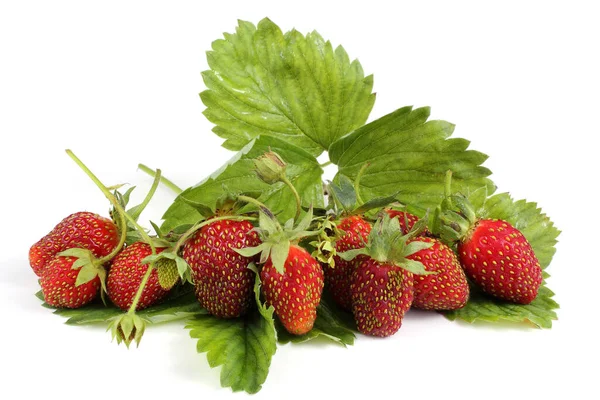 Beyaz arka planda izole edilmiş çilekler