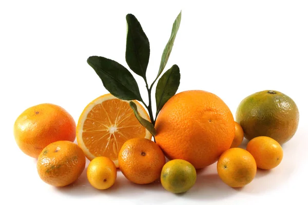 Апельсины Мандарины Кумкват — стоковое фото