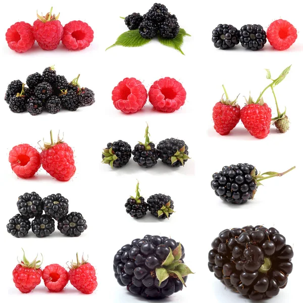 Raspberries Blackberries Collection — Stock Photo, Image