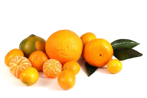 Olika Citrusfrukter Apelsiner Mandariner Och Kumquat — Stockfoto