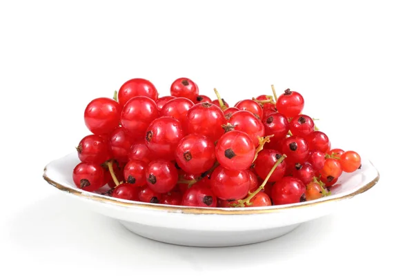 Red Currant Berries Isolated White Background — Stock Photo, Image