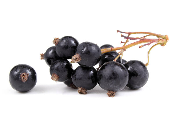 black currant berries isolated on white