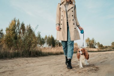 Köpekle seyahat et. Genç bir kadın, sırtında sırt çantasıyla, cocker spaniel 'iyle yürüyor.