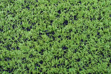 Arka plan, futbol sahası, yeşil çim futbol sahası, yakın çekim, 