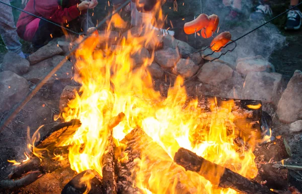 Grilování masa na ohni. — Stock fotografie