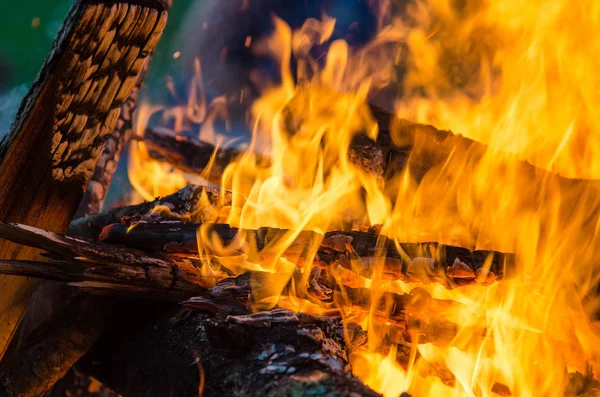 Brinnande Ved Sommar Barbecue — Stockfoto