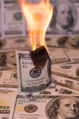 Hunred dolar Amerikan bize para birimiyle yanıyor
