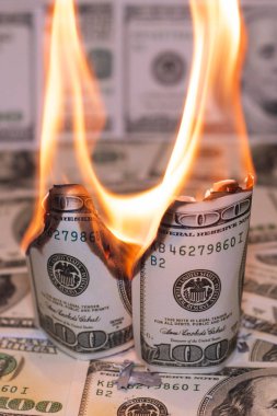 Hunred dolar Amerikan bize para birimiyle yanıyor