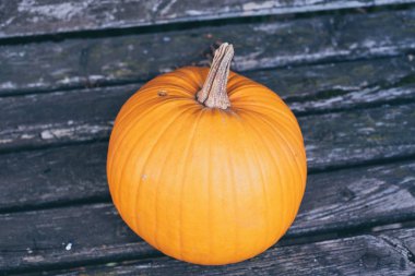 Sonbahar bir sembolü olarak kabak.