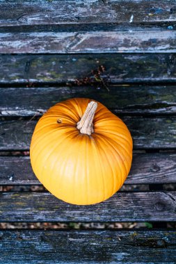 Sonbahar bir sembolü olarak kabak.