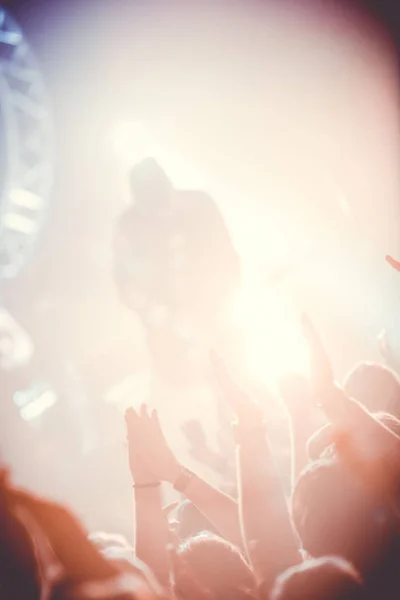 Audiencia en el concierto de rock . — Foto de Stock