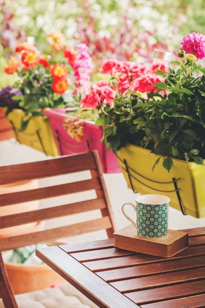 Varanda Verão Aconchegante Com Muitas Plantas Vaso Xícara Chá Livro — Fotografia de Stock