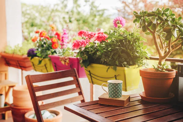 Varanda Verão Aconchegante Com Muitas Plantas Vaso Xícara Chá Livro — Fotografia de Stock