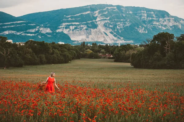 Haşhaş Alanının Muhteşem Manzarayı Kırmızı Elbise Giyen Sarışın Saçlı Güzel — Stok fotoğraf