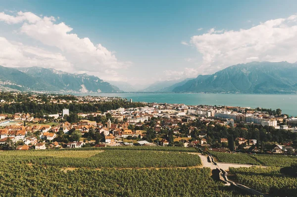 Pohled Shora Městě Vevey Vinice Lavaux Kanton Vaud Švýcarsko — Stock fotografie