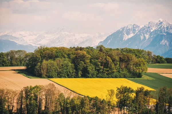 Ackerland Frühling Aufgenommen Kanton Vaud Schweiz lizenzfreie Stockbilder