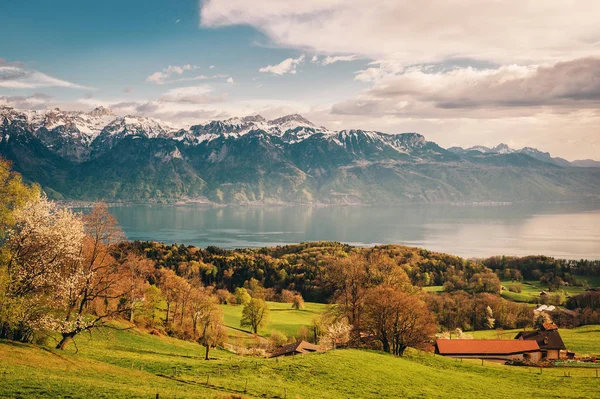 Widok Góry Jezioro Genewskie Szwajcaria Miłym Słonecznym Dniu — Zdjęcie stockowe