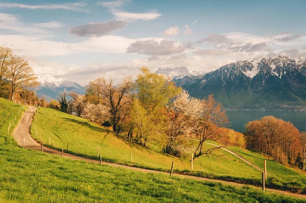 Vue Sur Lac Léman Suisse Par Une Belle Journée Ensoleillée — Photo