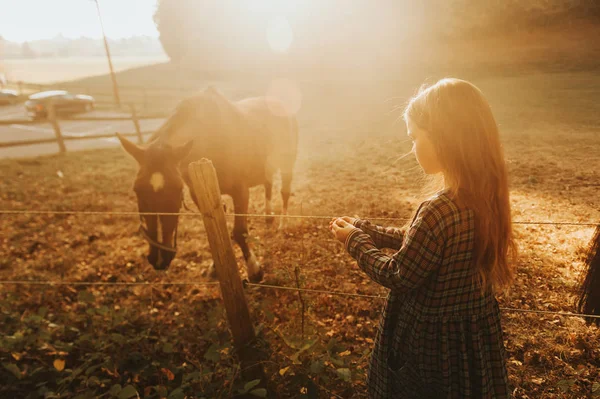 夕日の光の中で馬と遊ぶ若い子供の女の子 — ストック写真