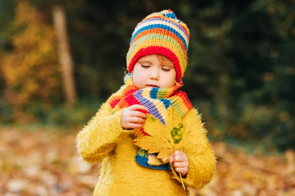 Outdoor Portrait Cute Toddler Girl Wearing Yellow Pullover Playing Autumn — Stock Photo, Image