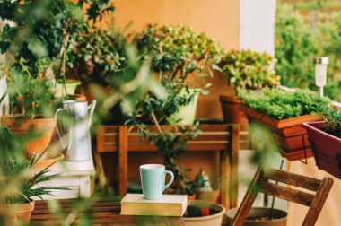 Sıcak yaz balkon saksı bitkileri, fincan çay ve eski vintage kitap ile