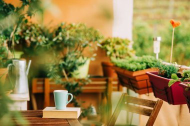Sıcak yaz balkon saksı bitkileri, fincan çay ve eski vintage kitap ile
